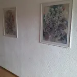 Egida Han/Misafirhane Řež